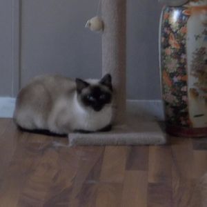 Meet your Posher, Deborah